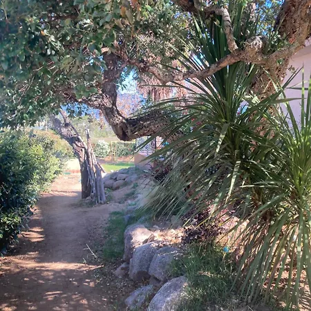 Villa Superbe 14 Pers, Vue Et Piscine Chauffée Porto-Vecchio (Corsica)